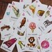 Vintage ABC Educational Flash Cards - Set of 5 Random Letters