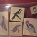 Destash: Assorted Bird Stamps, Set of Five, Blue Jay, Woodpecker, Parrot, Eagle, Mystery Bird (no longer a mystery...it's an oriole)