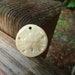 Sand Dollar Pendants