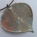 Real Leaf Pendant Necklace - Aspen - Oxidized Sterling Silver