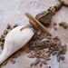 Bold Tribal Ethnographic Necklace with Fossils on Leather Cord