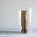 Vintage Tall Glass Dome