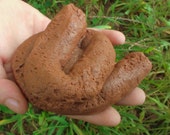Dog Poop Soap - gag gift for men man naughty father's day husband son dad valentine gift crappy valentine's day Il_170x135
