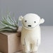 pocket bear / jinx / polar bear