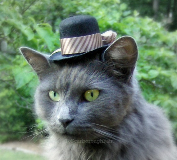 Cat Hat Dress Up Top Hat for Cats and Dogs Autumn Hat