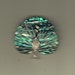 Peacock Pin Bird Paradise Murano Art Glass Silver