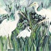 Egrets Marsh Side - Original painting