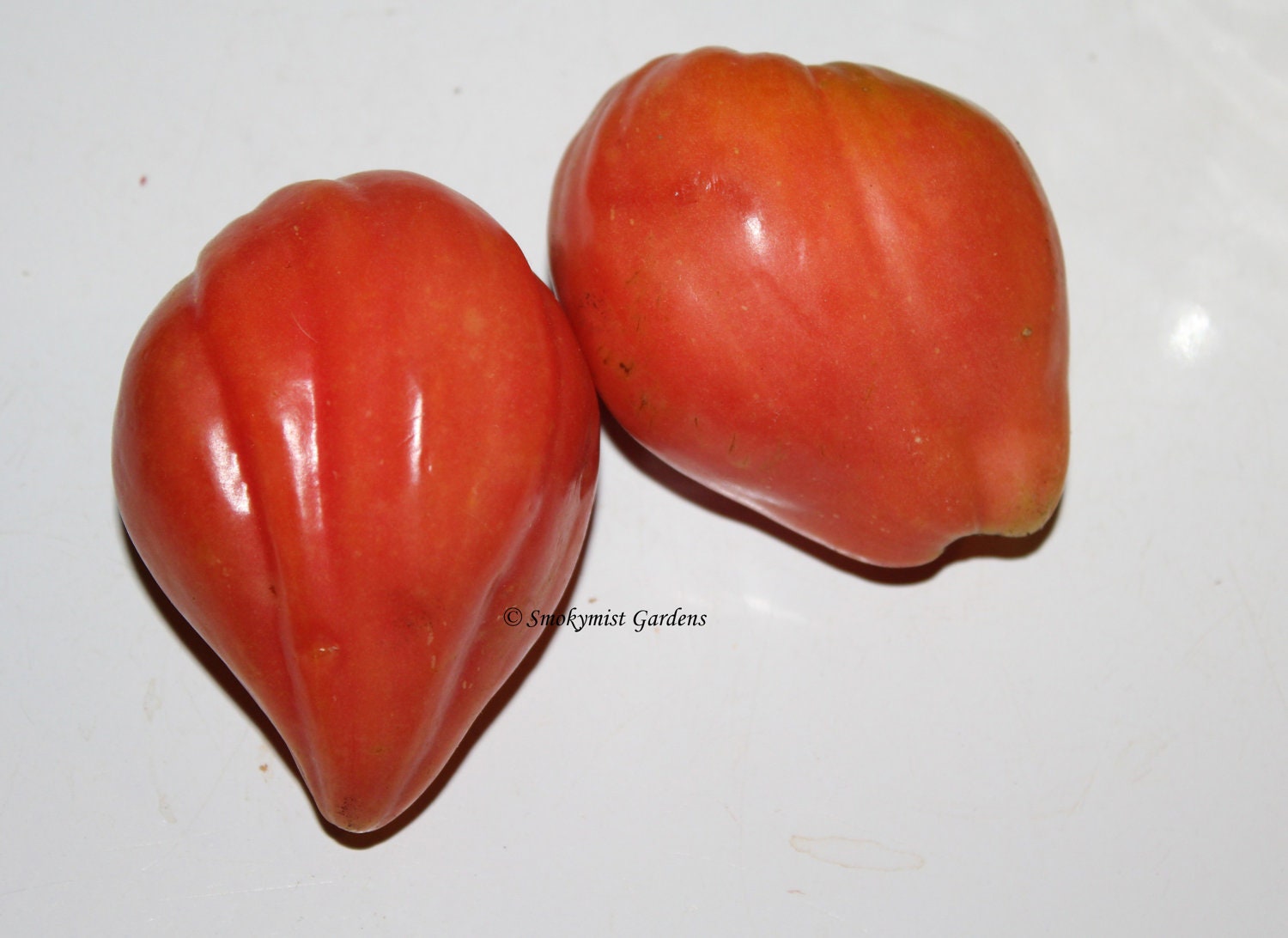 Heirloom Pink Tomato Seeds Oxheart 20 Seeds From Smokymistgardens On