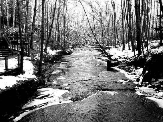 Winter Stream 8x10 Black and White Photography Museum Quality