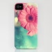 iPhone 4/4s Case - Nature Photograph - Pink Gerbera Daisy - clear plastic sides flower pink pastel teal blue summer garden bright