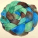 18.5 mic Merino and Grade A Mulberry Silk Handpainted 121g top roving spinning fibre
