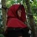 Medieval Cowl or Hood in Bright red Linen, black, gold fleur de lis gold trim, for SCA GARB, Halloween, LARP costume