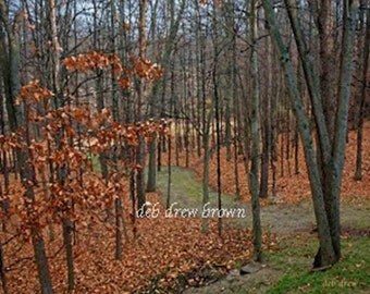 Fall scene after the leaves fell. It has a special FX filter on it so it looks like a painting.