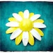 SALE Flower Brooch Vintage Enamel Nature Inspired Jewelry Lemon Yellow Wedding White Daisy