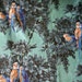 Vintage 1940s 1950s Parrots Cotton Fabric Midcentury Tropical Floral Birds