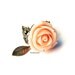 Peach Rose Ring. Adjustable Ring. Brass Filigree Flower Ring. Resin Rose Ring