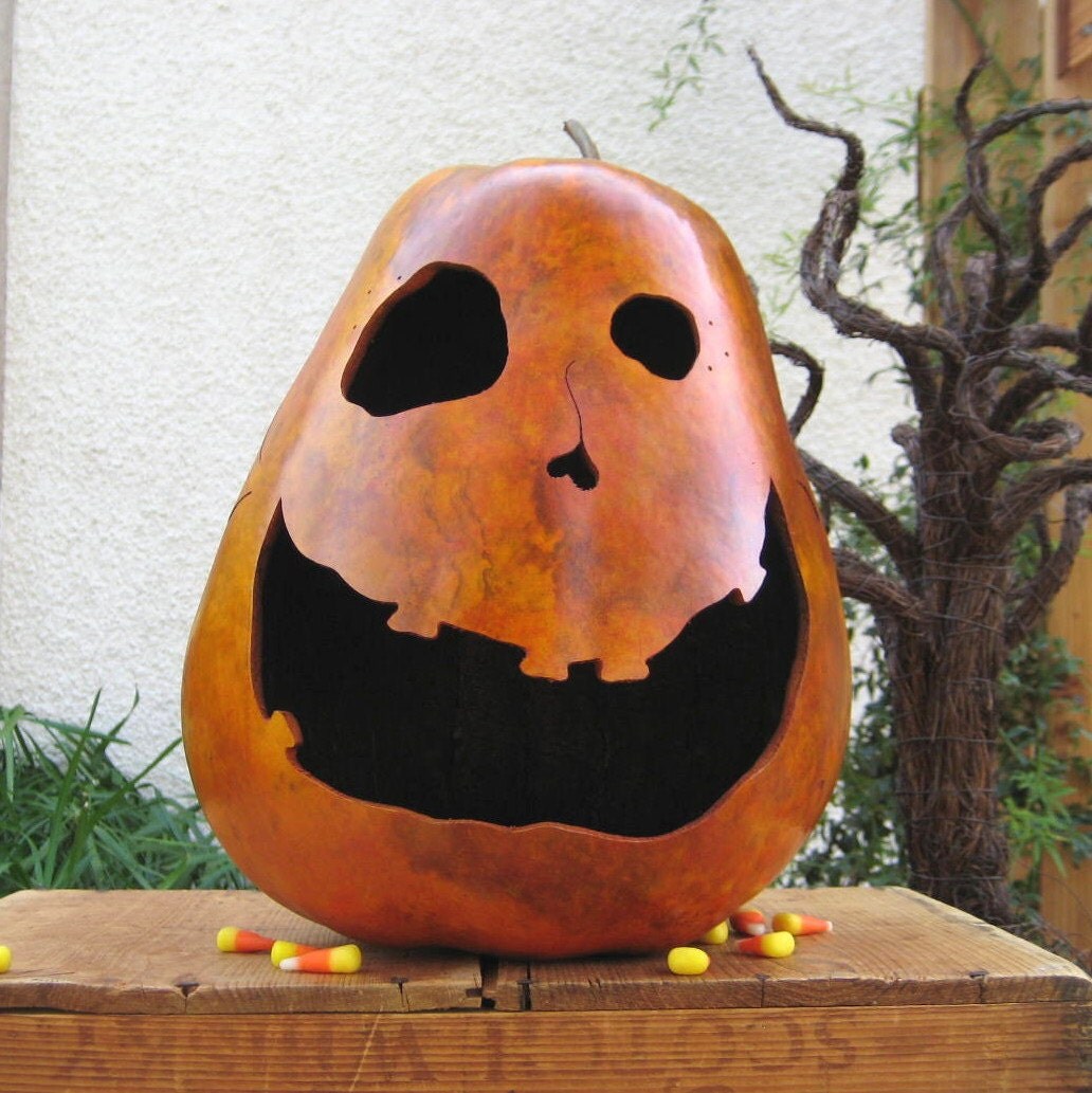 Halloween Jack O Lantern Gourd Orange Natural Fall Decoration