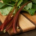 Rhubarb Seeds - Naturally Grown Untreated Seed for your Edible Organic Garden