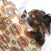 Pet Carrier Dog Sling Carrier-Asian Medallion Print Cotton Fabric with Pocket