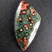 Orbicular Ocean Jasper Designer Cabochon