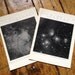 1910 set of 2 galaxy & nebula original vintage celestial astronomy prints - pleiades and milky way
