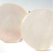 vintage mother of pearl button screw on earrings