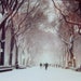 Central Park NYC Winter Scene Snowy Landscape Small Signed Vintage Black & White Photograph Black Plastic Frame