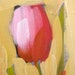 pink tulip original painting by moulton aceo
