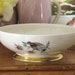 Antique Eberthal West German Porcelain Bowl - Queens Manor