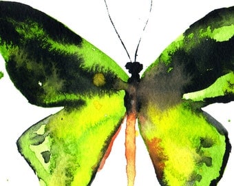 Butterfly Original Watercolor Painting