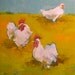 Walk On By- Oil Painting on Canvas- 12x12 Original - Chickens, Farm Animals