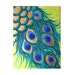 PEACOCK FEATHERS, 12x16 canvas painting, whimsical modern art
