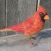 Reserved for MaryJane, needle felted Cardinal