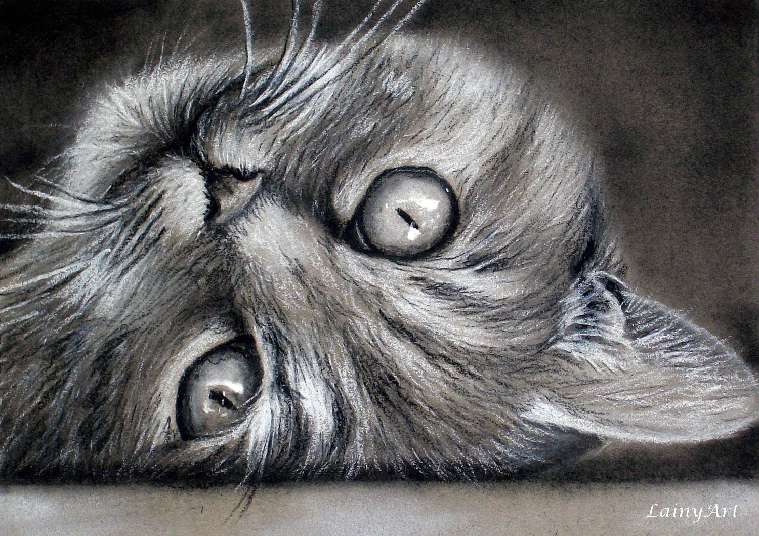 CUSTOM Cat Drawing From your photo 5x7 Realistic Hand