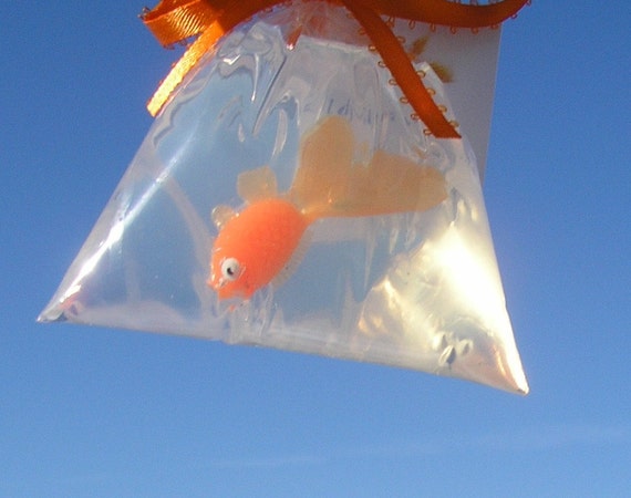 finding nemo fish in bags