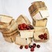 4 Berry Baskets from the Farm