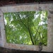 Birch Bark Home Decor Trimmed Mirror