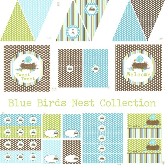 Bird Birthday, Bird Baby Shower, Bird Birthday Decorations, Bird Baby Shower Decorations, Bird Party Decorations, Birds Nest, BeeAndDaisy Il_570xn