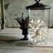 Glass Pedestal Urn with Vintage Silver Lid