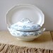 Vintage Blue and White Ironstone Transferware Tureen Child Size