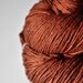 Horse gone wild OOAK - Merino/Silk superwash yarn fingering weight