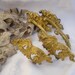 Ormolu french decoratives drapery curtains tie backs