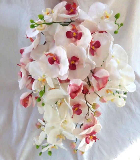 Cascade Orchid Bouquet phalaenopsis orchid bouquet tropical