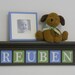Blue and Green Sign Personalized Children Nursery Decor 24" Brown Shelf 6 Wooden Wall Letters - REUBEN