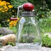 Dazey Red Top Football UNIVERSAL Butter Churn 8 quart tulip jar all original ca. 1950's