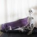 Vintage Violin Case Shabby French Cottage Primitive Halloween Skeleton Purple