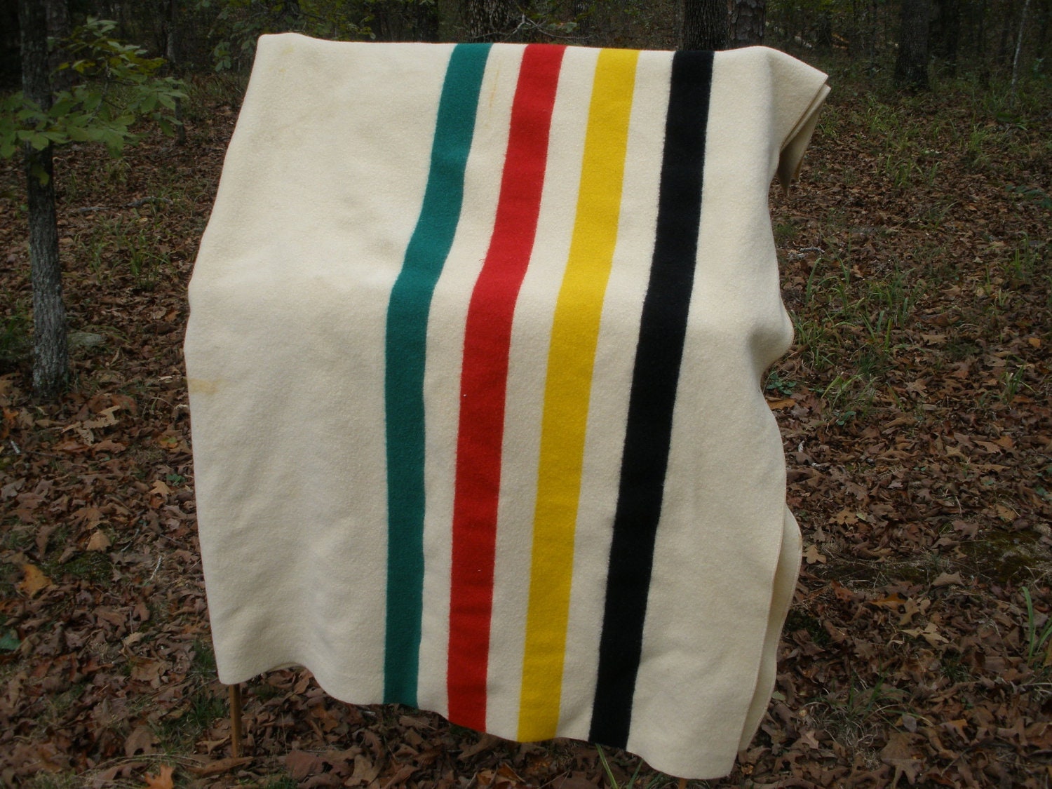 Vintage Pendleton Glacier Park Blanket