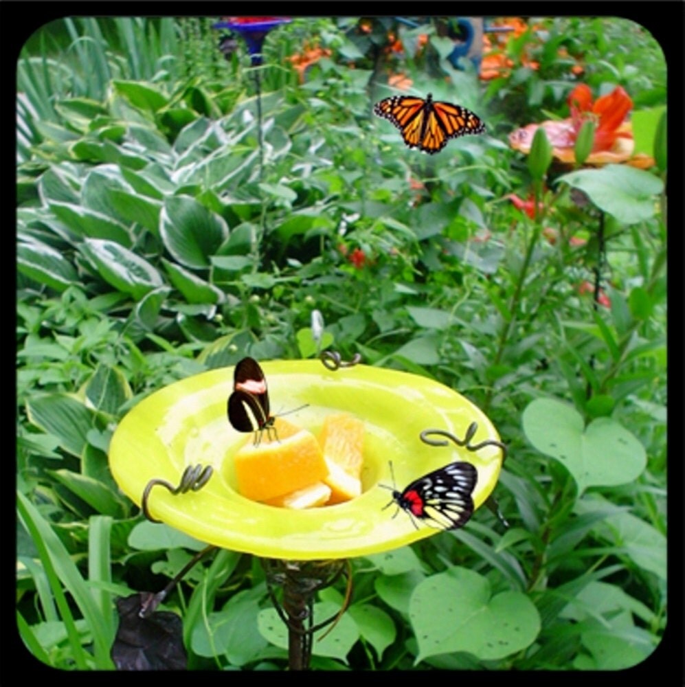 CONTAINER GARDENING Butterfly Feeder stained glass AQUA