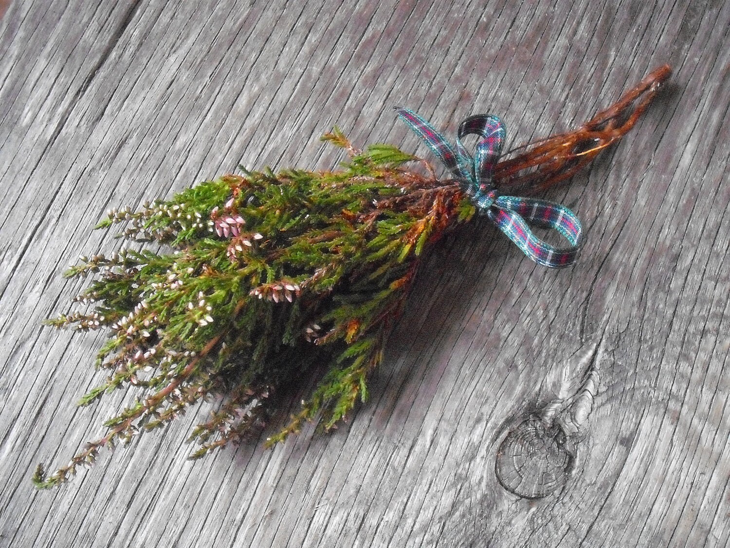 Lucky White Heather Wild harvested in by wildwizardcrafts