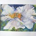 White Poppy floral flower original watercolor 12x16 matted white loose style original art